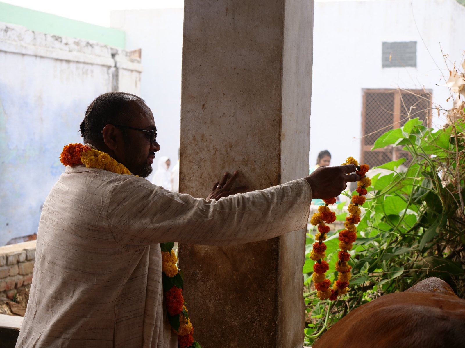 100 Gopashtami Radha kunda Govardhan 19.11.04